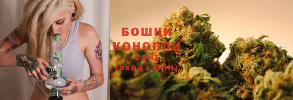 дмт Гусиноозёрск