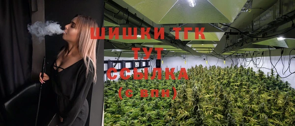 spice Гусев