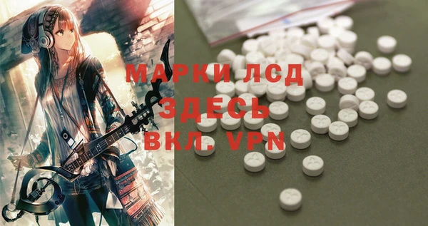 spice Гусев